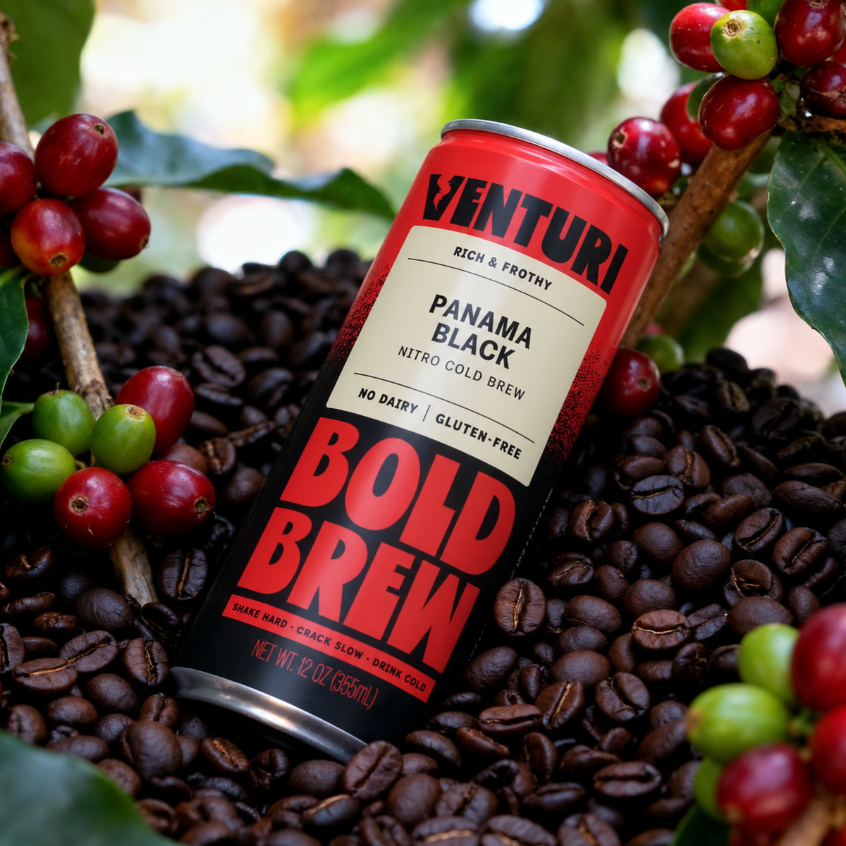 Venturi 12-Pack Variety